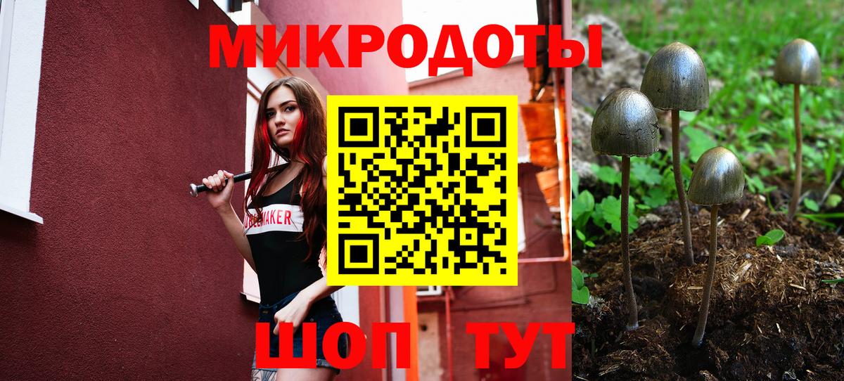 Псилоцибиновые грибы MAGIC MUSHROOMS Валуйки