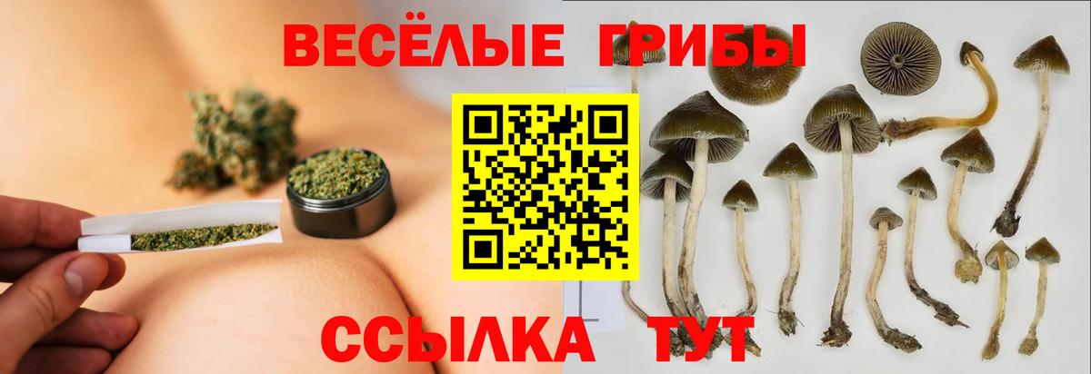 Галлюциногенные грибы GOLDEN TEACHER  Вход с VPN  Валуйки  Псилоцибиновые грибы Psilocybe 