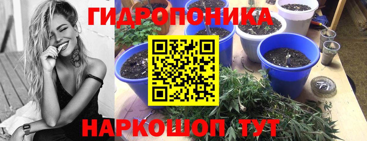 Каннабис Ganja Валуйки